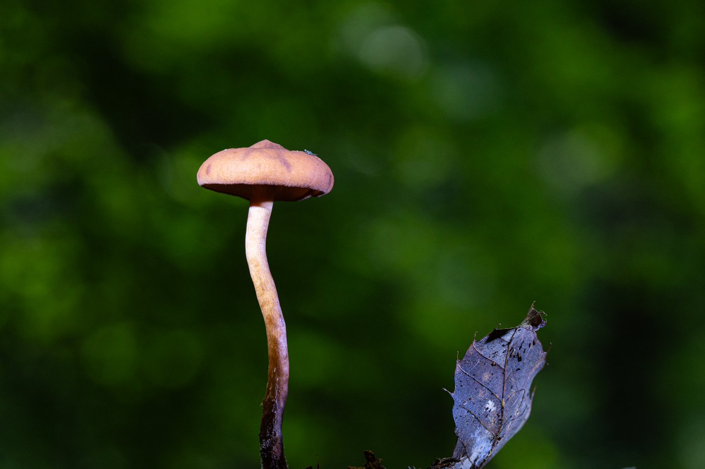 YDY00147.jpg