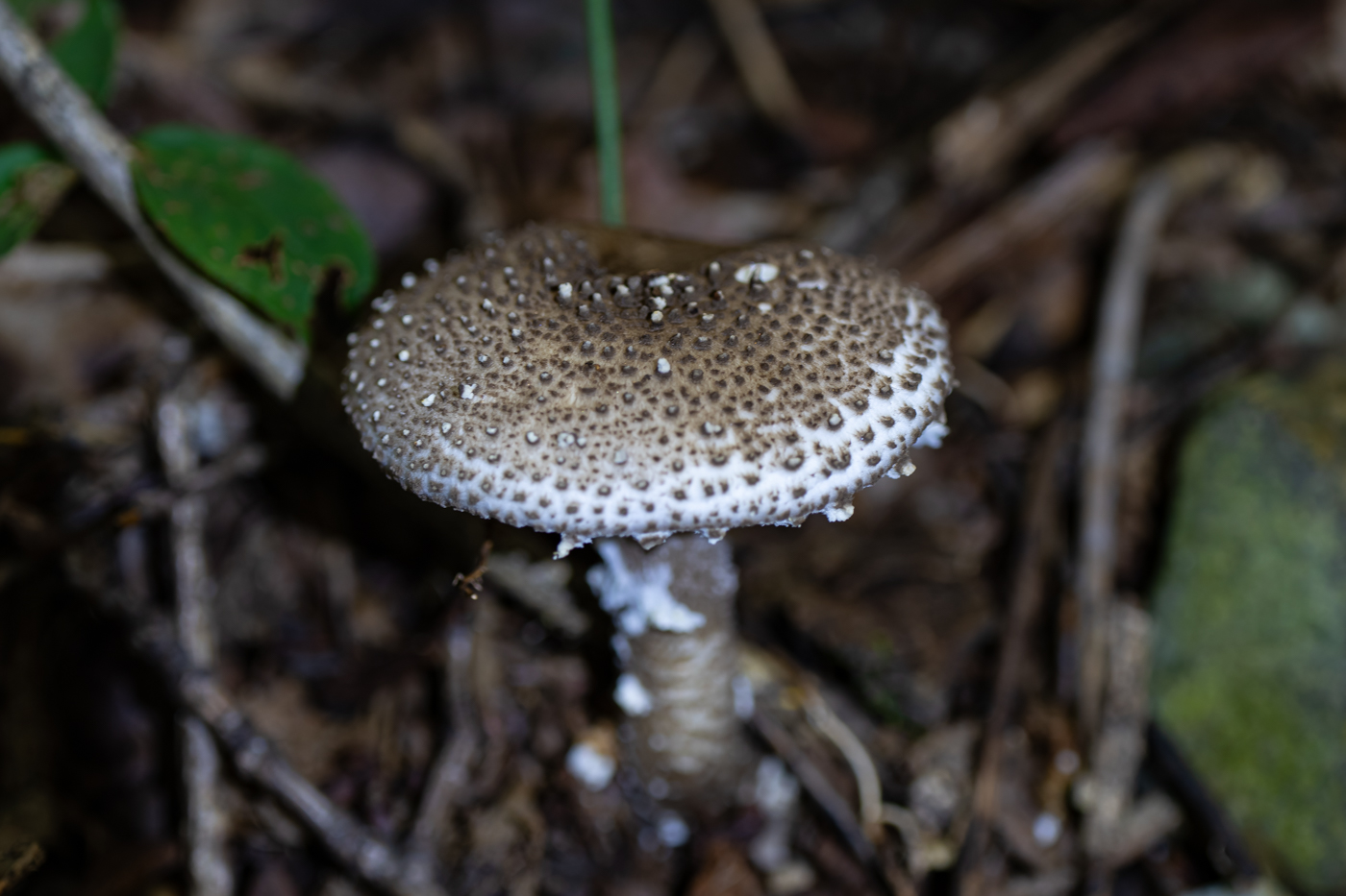YDY00235.jpg