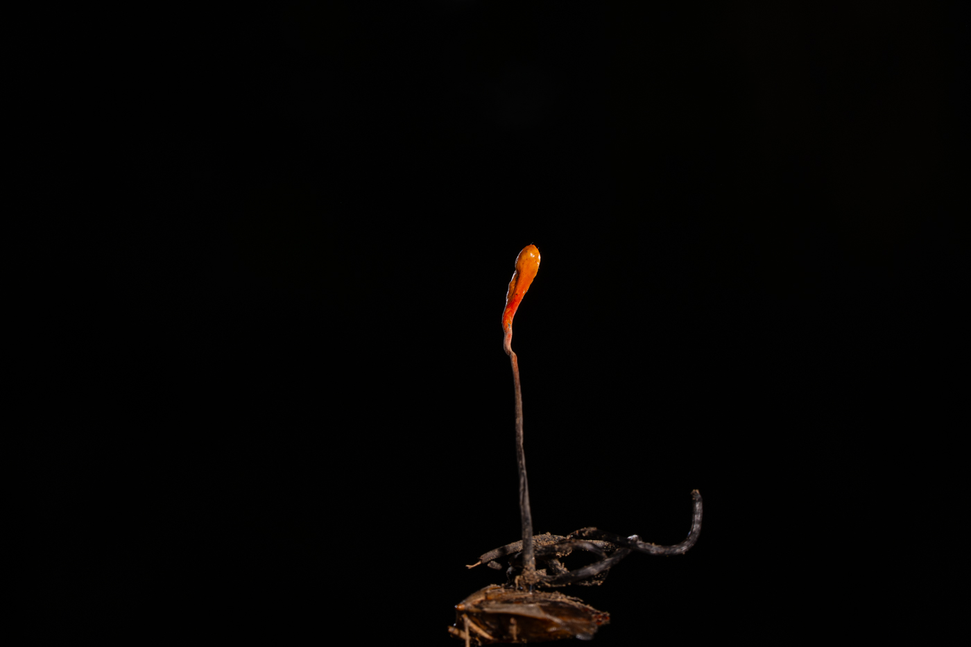 A9300351.jpg