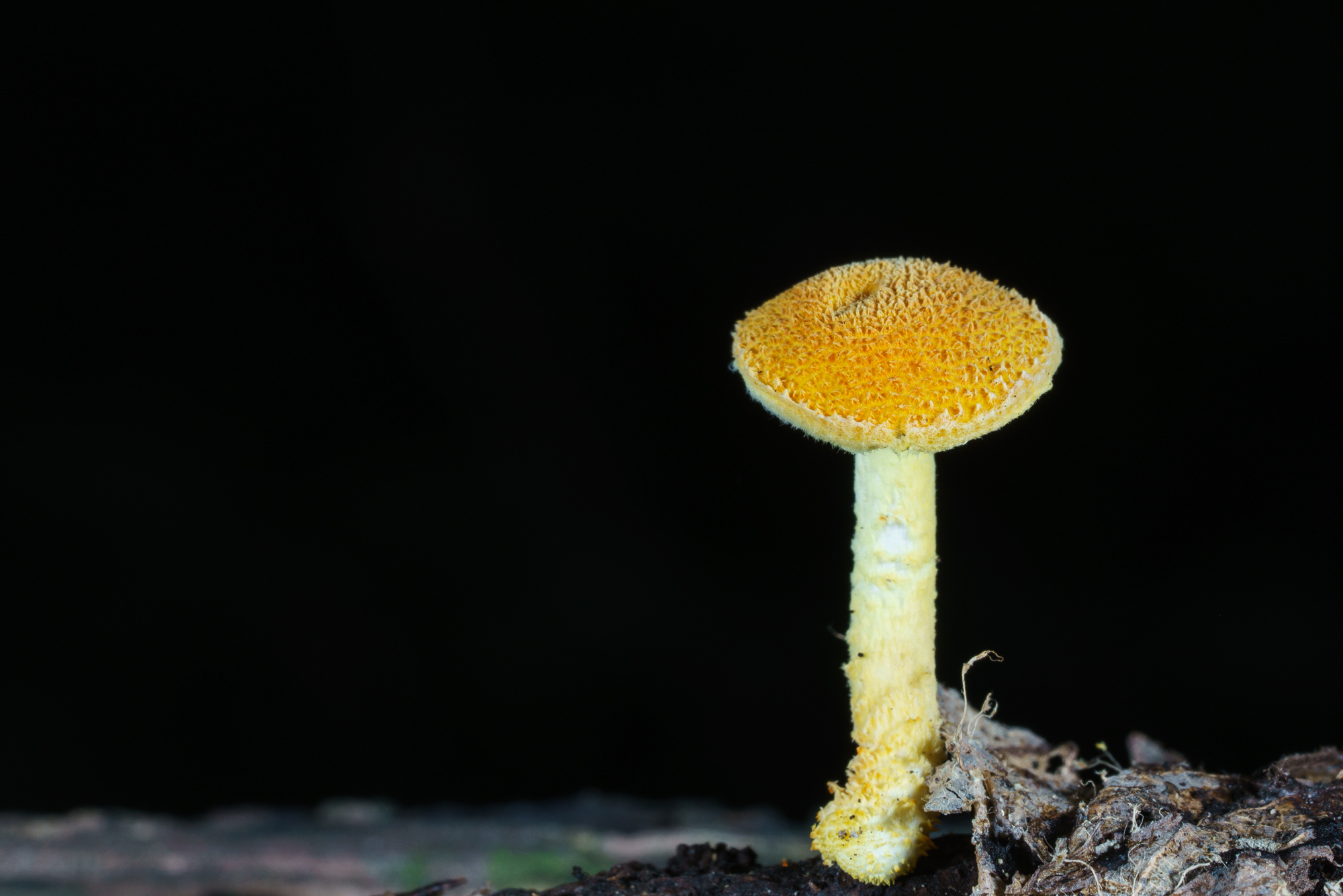 YDY06527.jpg