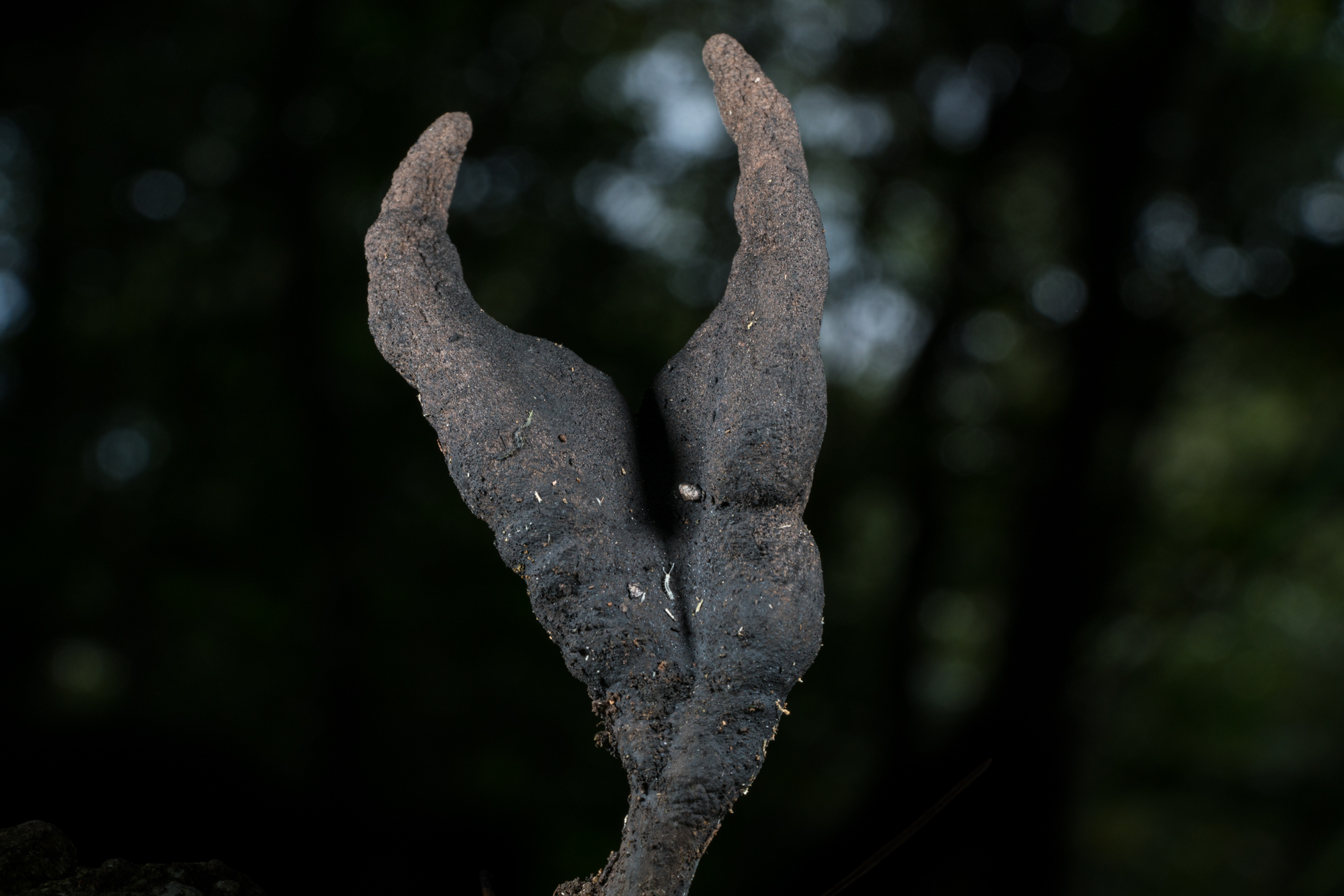 YDY06391.jpg
