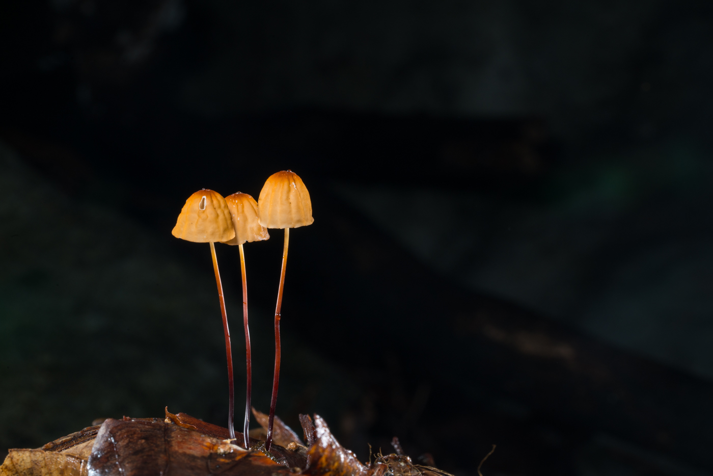 YDY04062.jpg