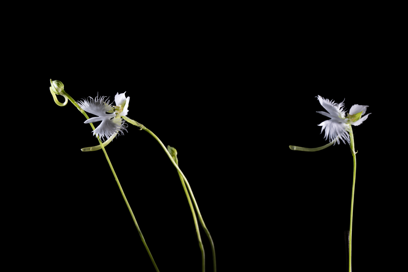 YDY00101.jpg