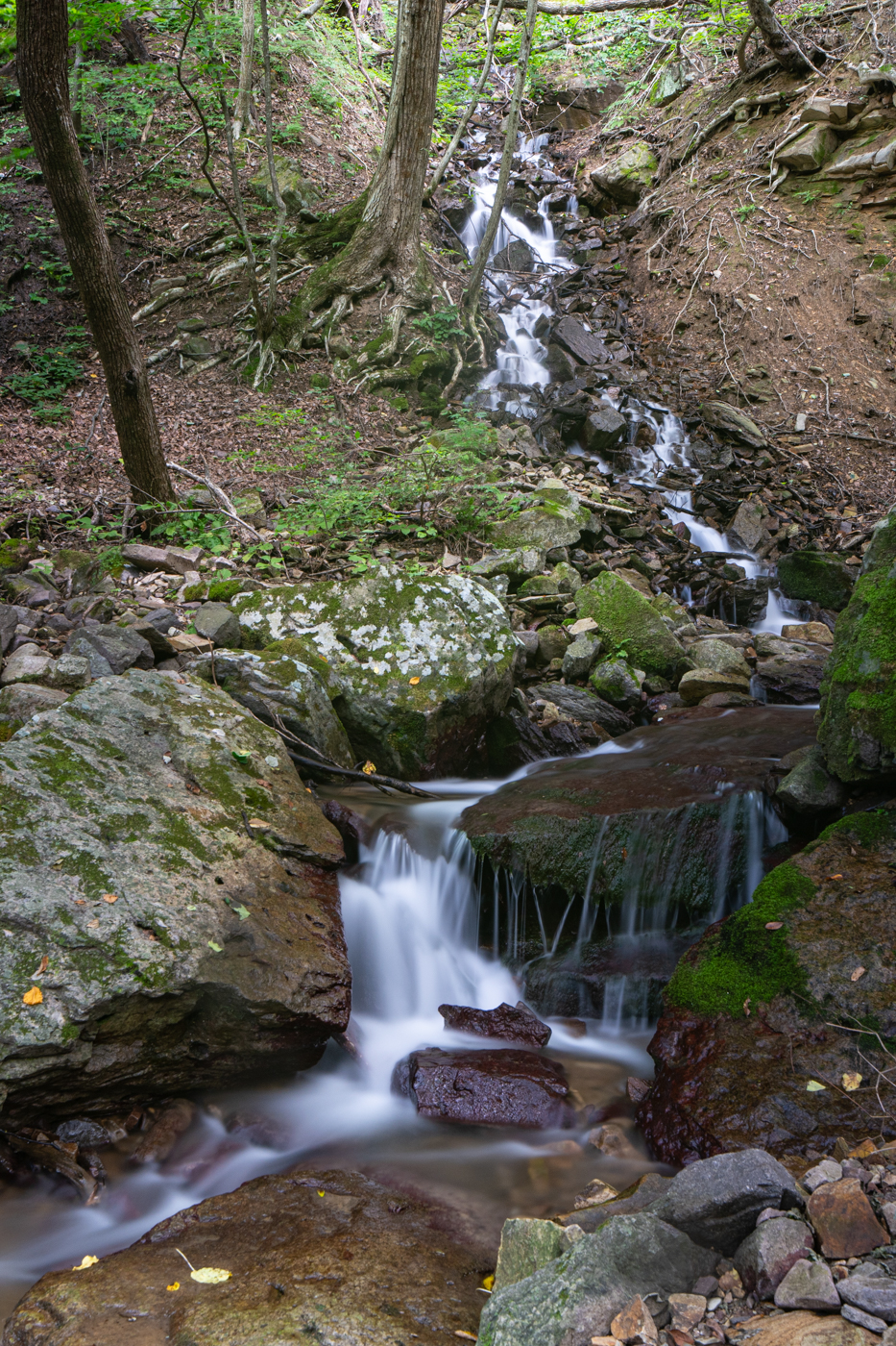 YDY00363.jpg