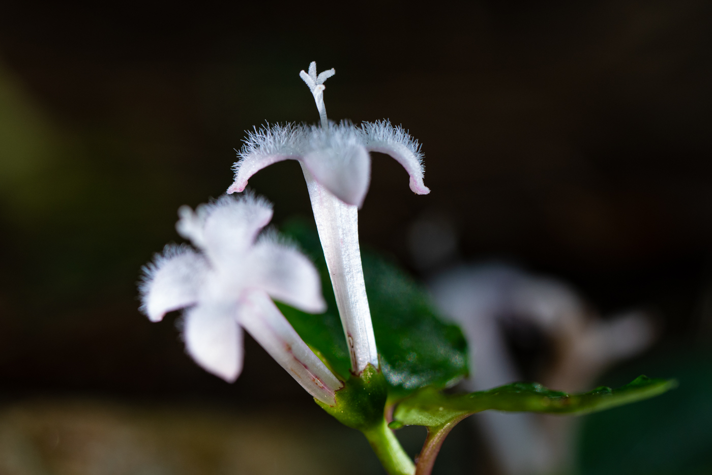 YDY01314.jpg