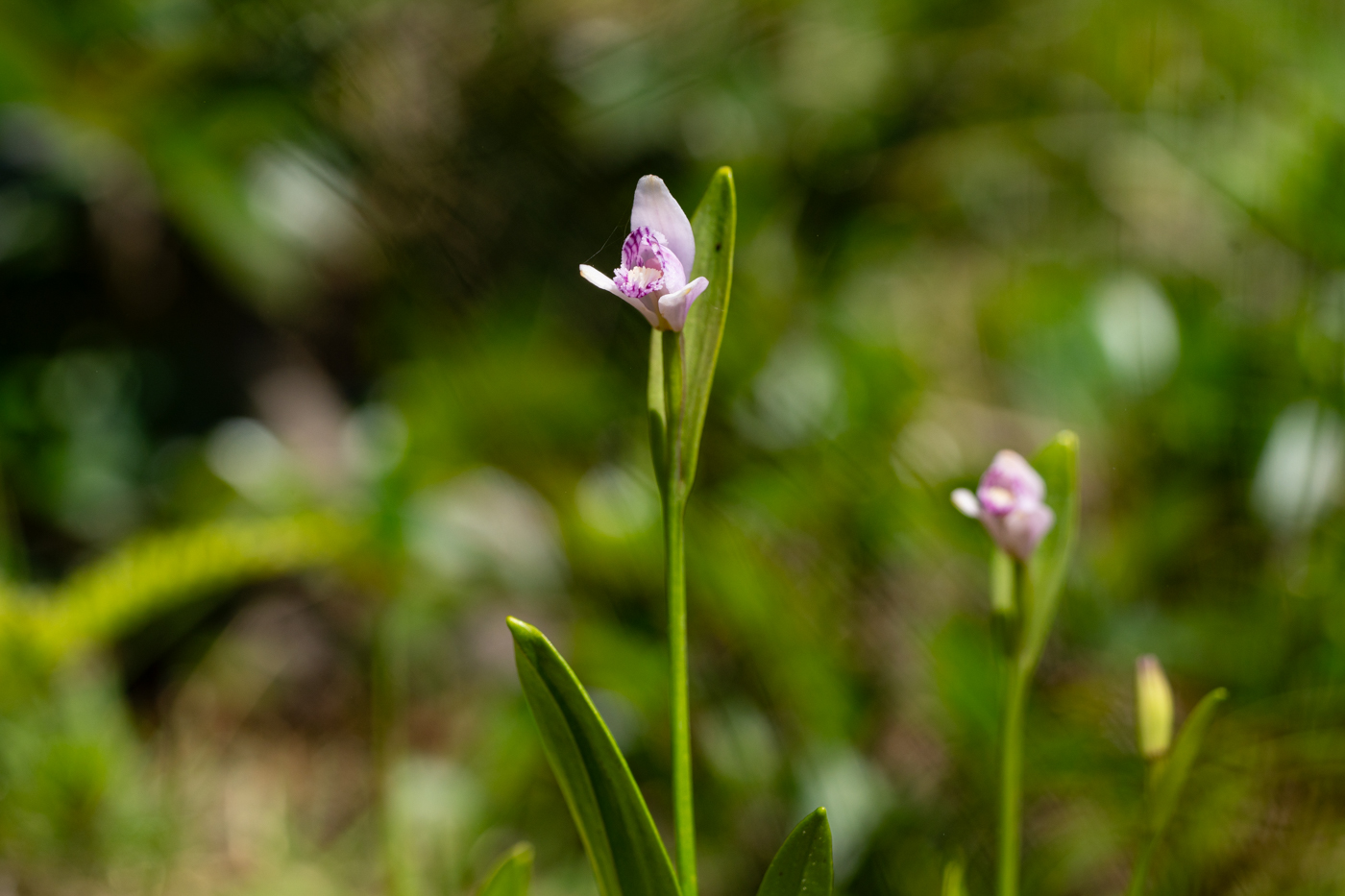 YDY00428.jpg