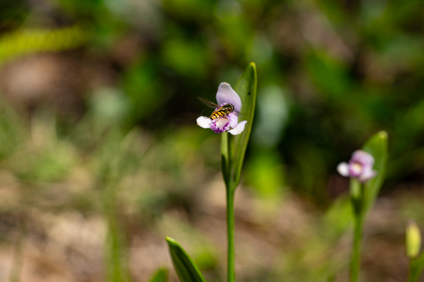 YDY00430.jpg