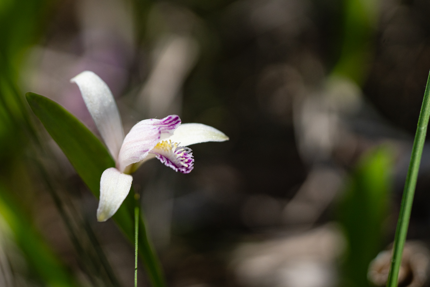 YDY00496.jpg