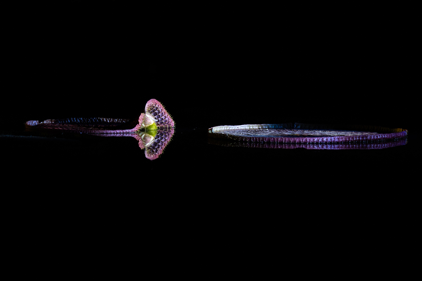 A9300203.jpg