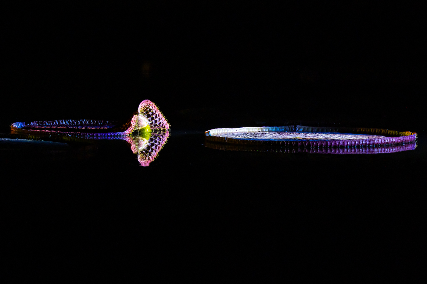A9300191.jpg