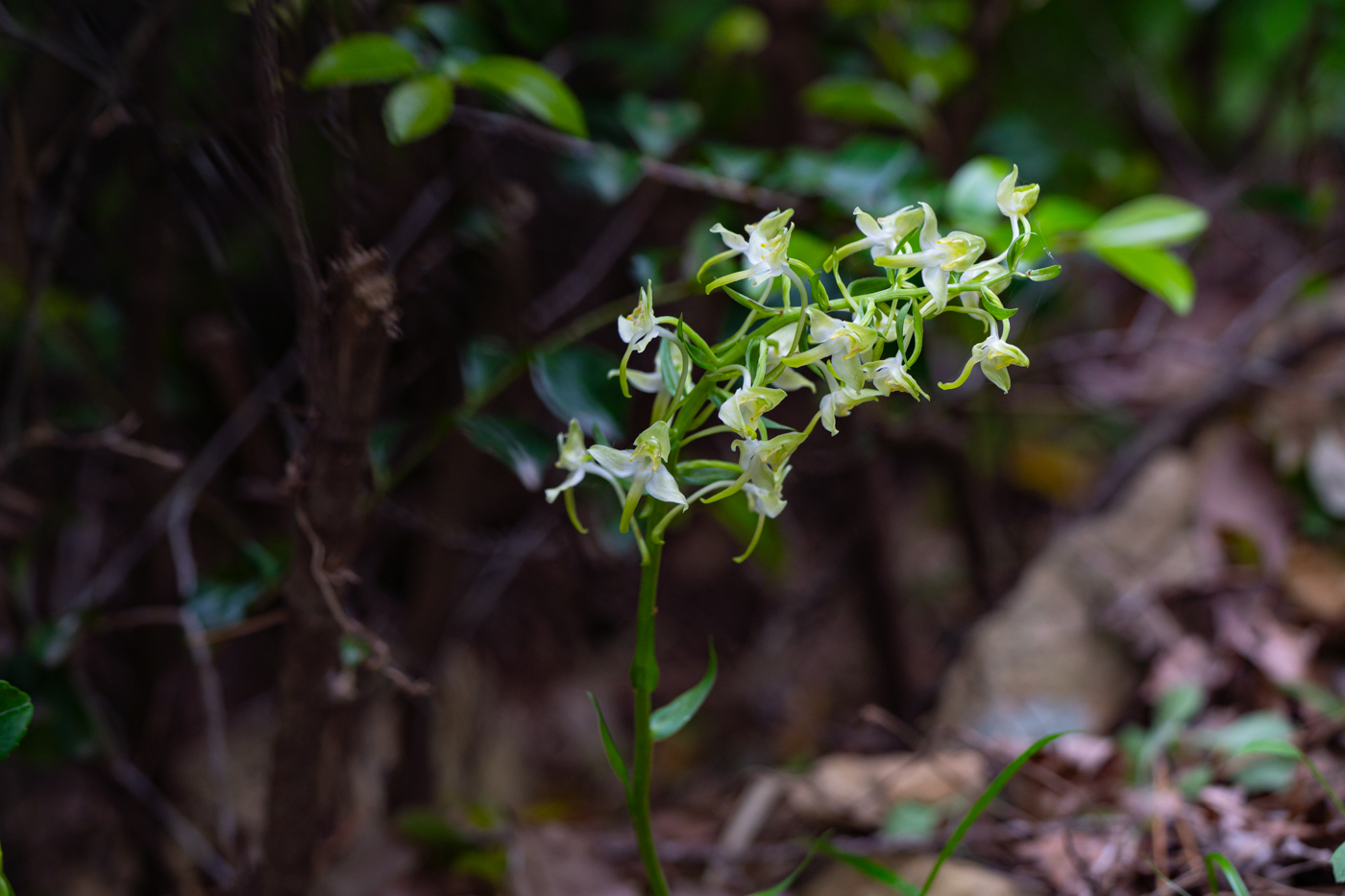 YDY00581.jpg