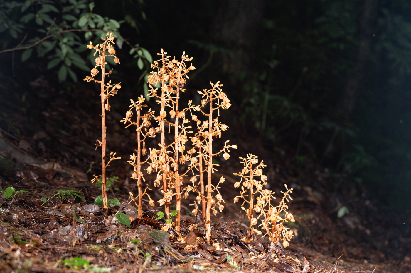 YDY01709_1400.jpg