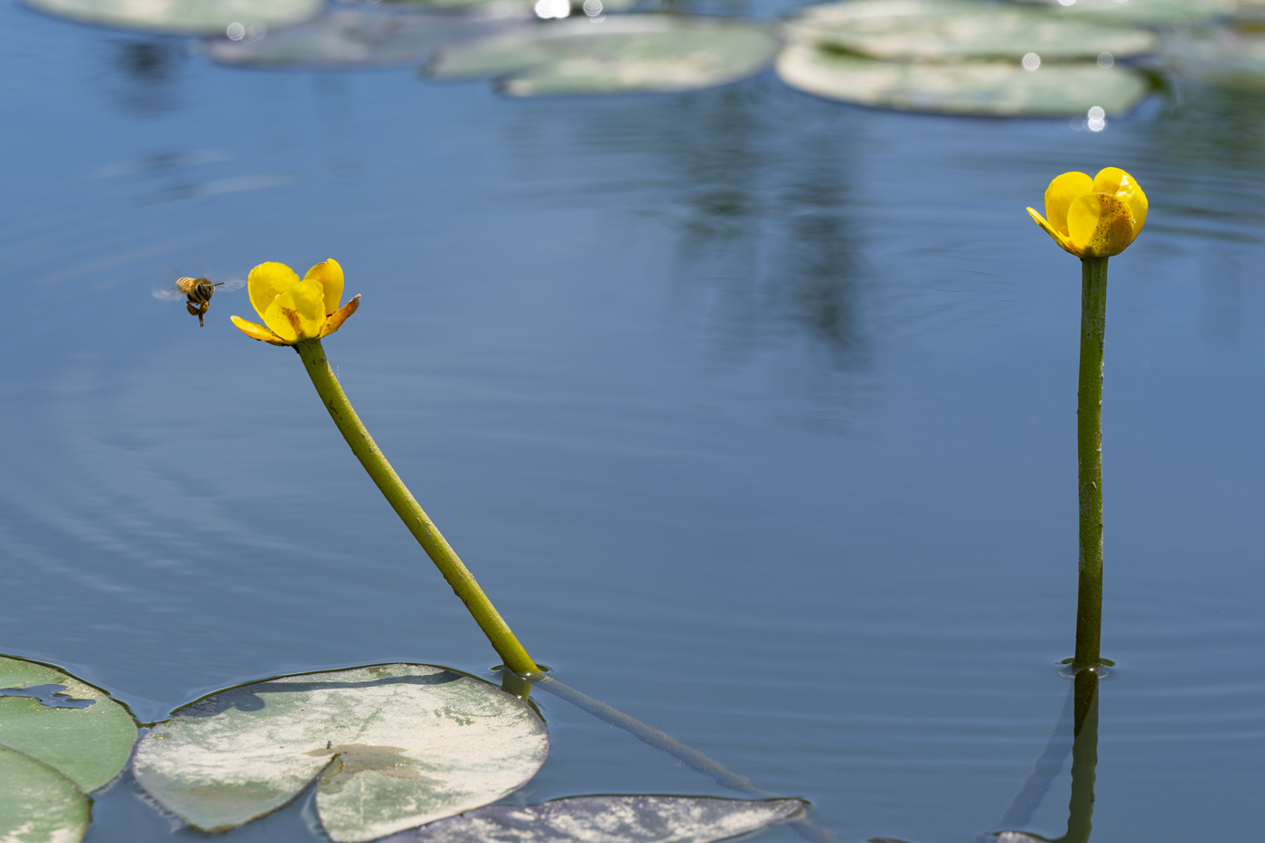YDY00903.jpg