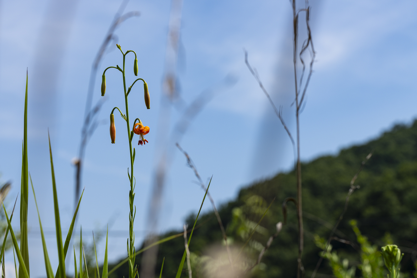 YDY00966.jpg