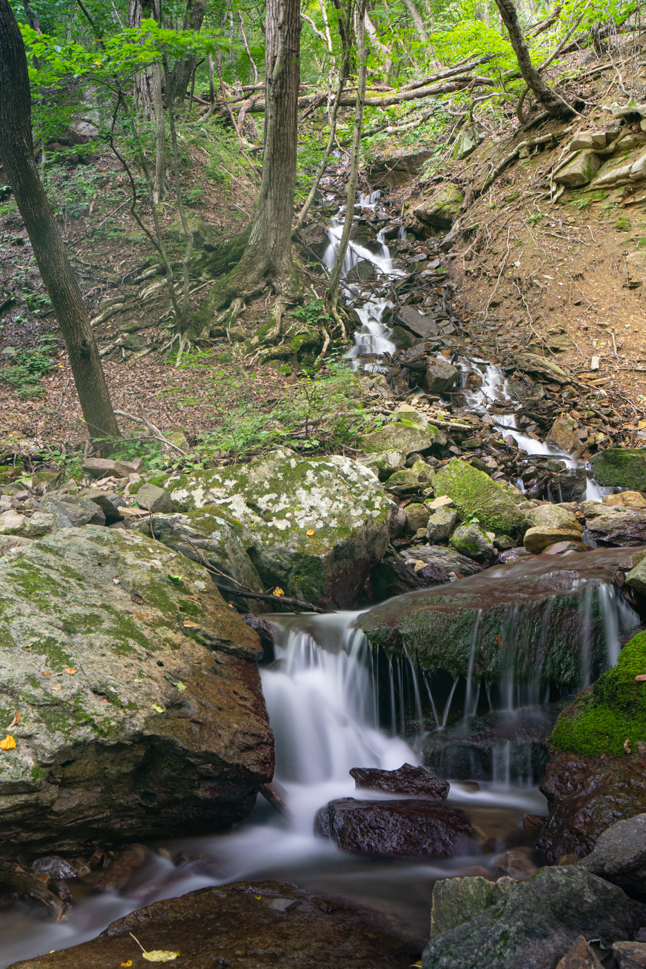 YDY00356.jpg