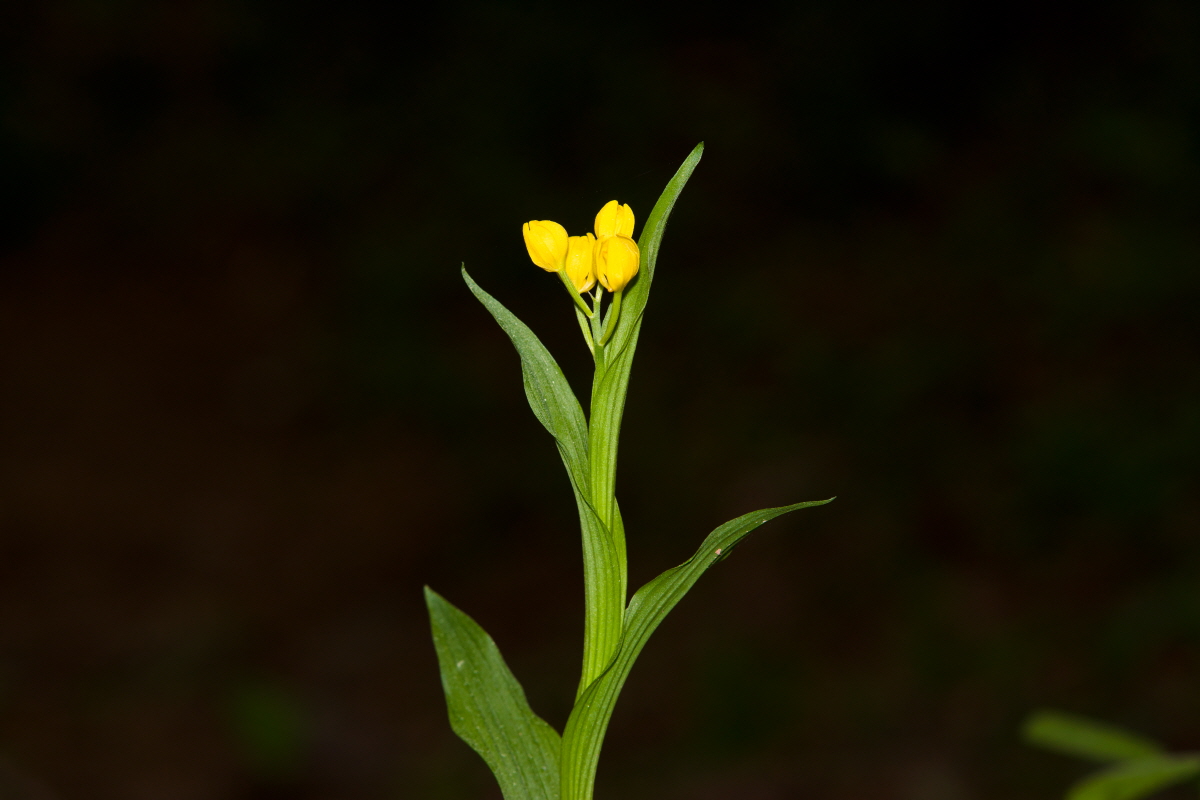 크기변환_DSC06784.jpg