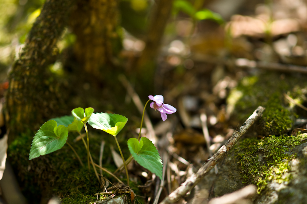 DSC05425.jpg