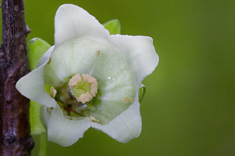 04_NF7C9974_1_crop.jpg