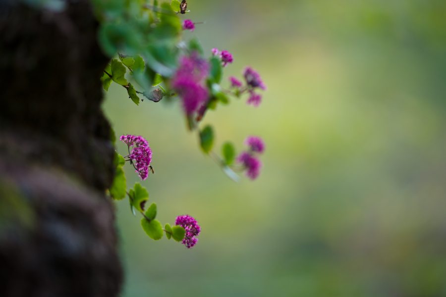 DSC09717-2.jpg