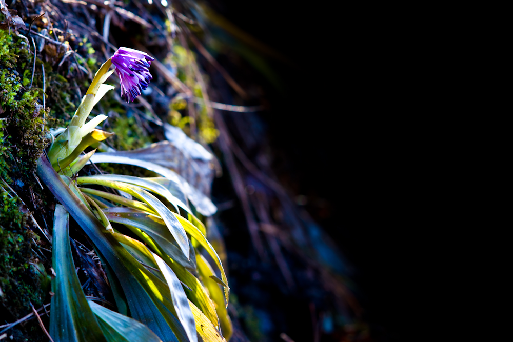 DSC03122.jpg