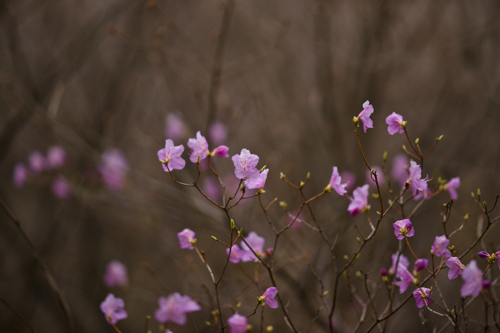 DSC03840-1.jpg