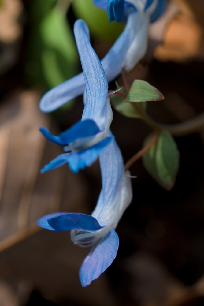 DSC03514-1.jpg