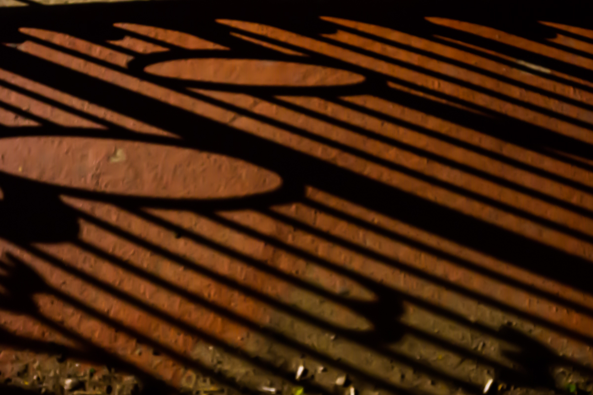 DSC02995.jpg