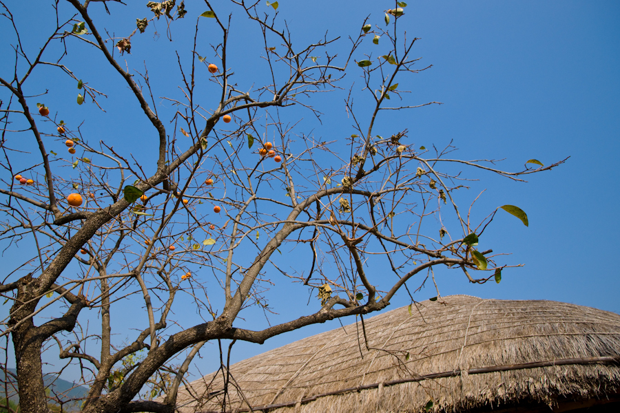DSC00082.jpg