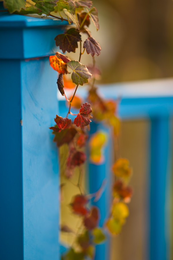 DSC09973.jpg