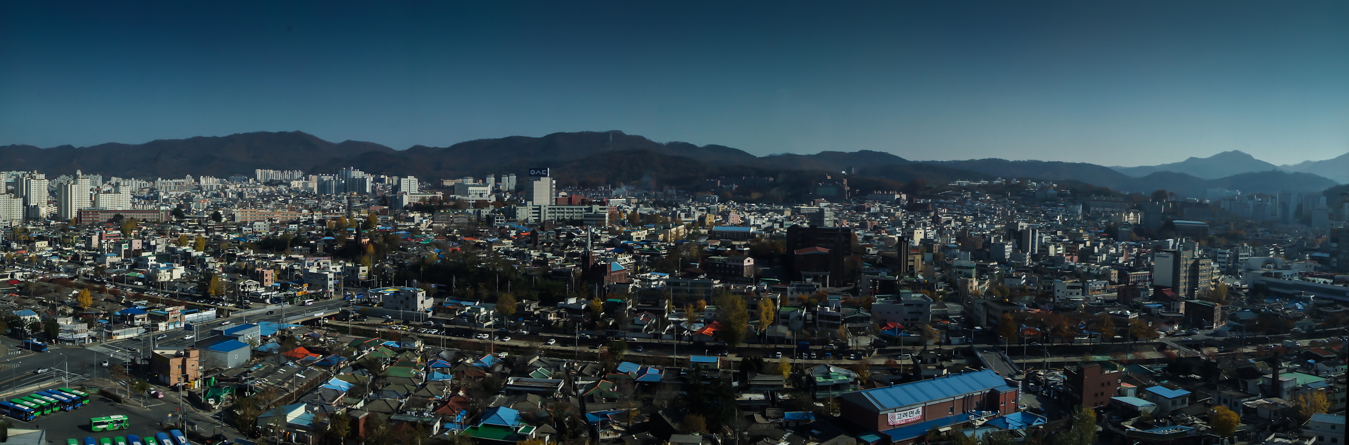 DSC01603-2.jpg
