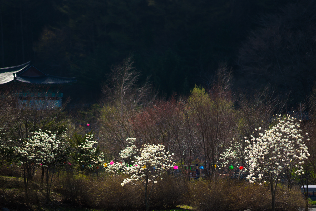 DSC09065.jpg