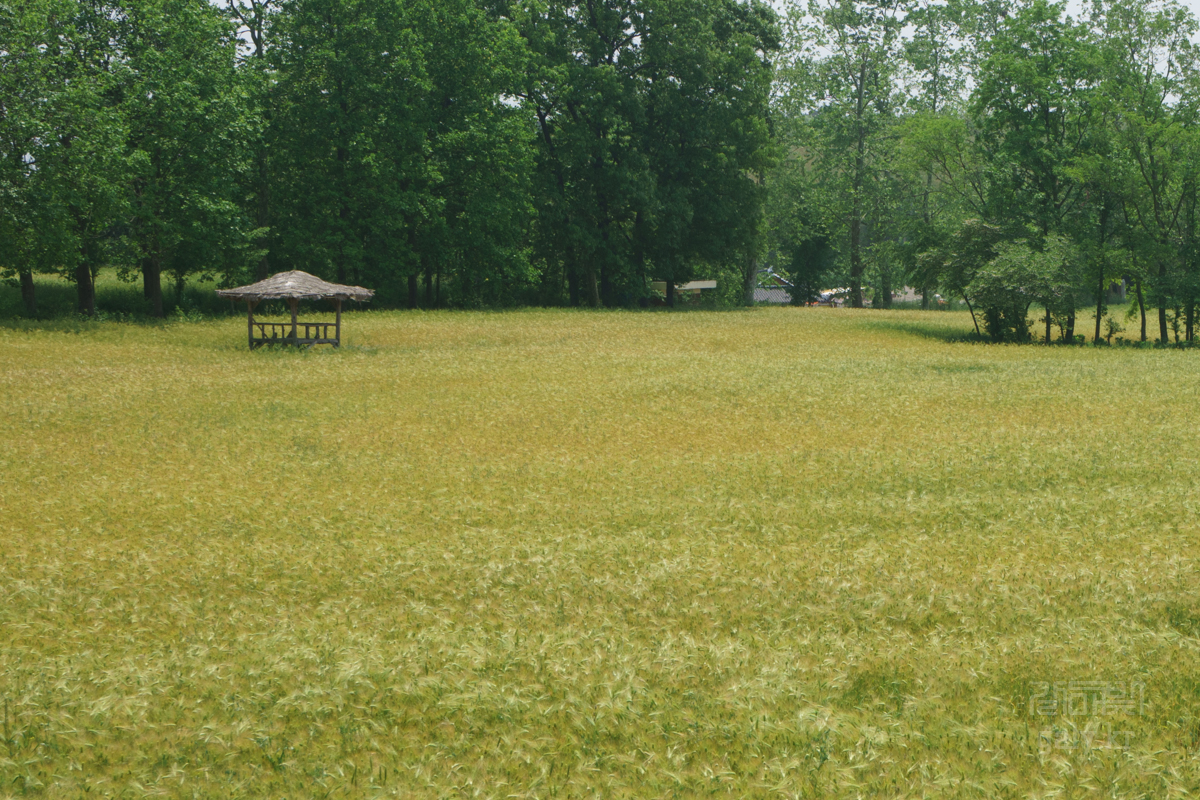 DSC00112.JPG