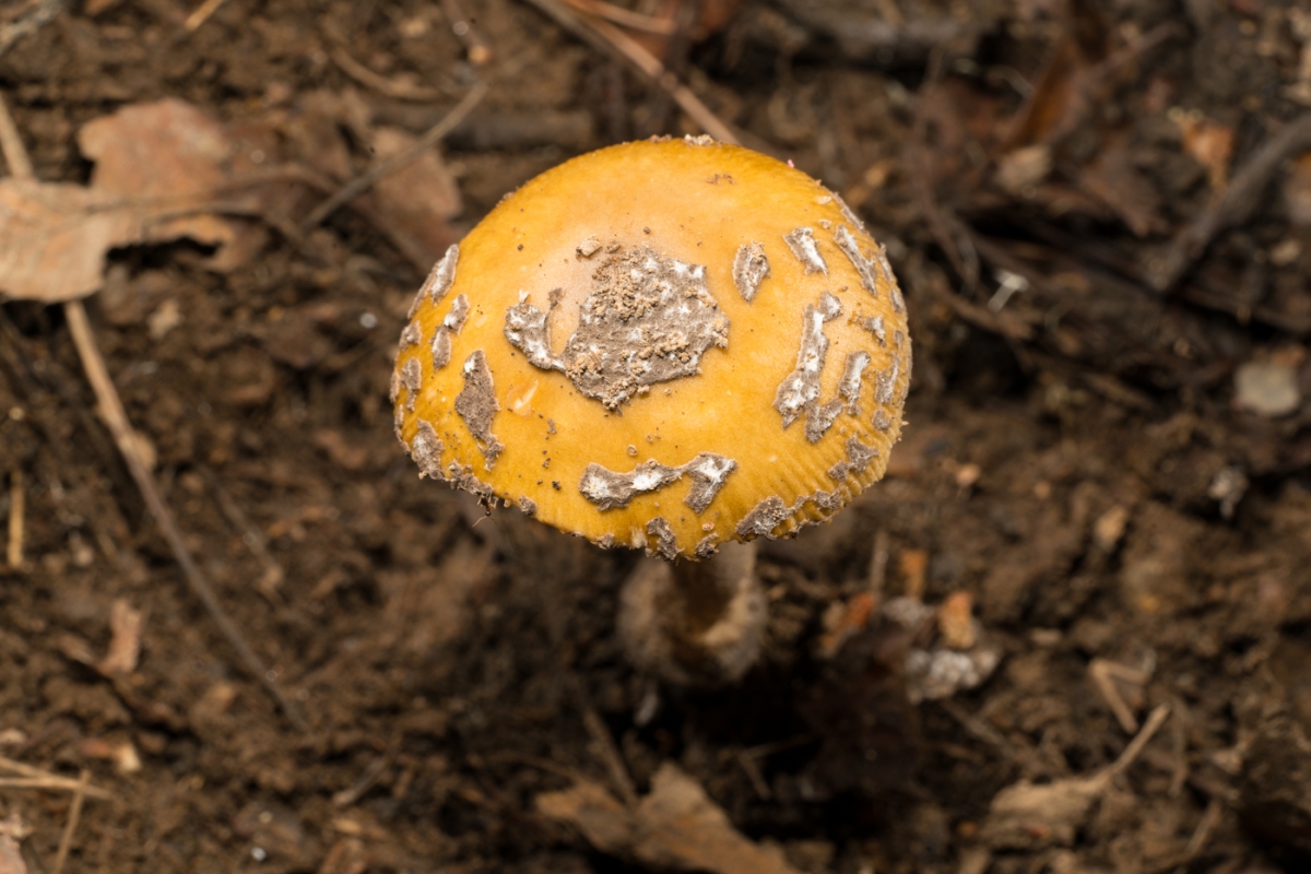 a0e466513a2b5065b1d8c9911c363bfd.jpg