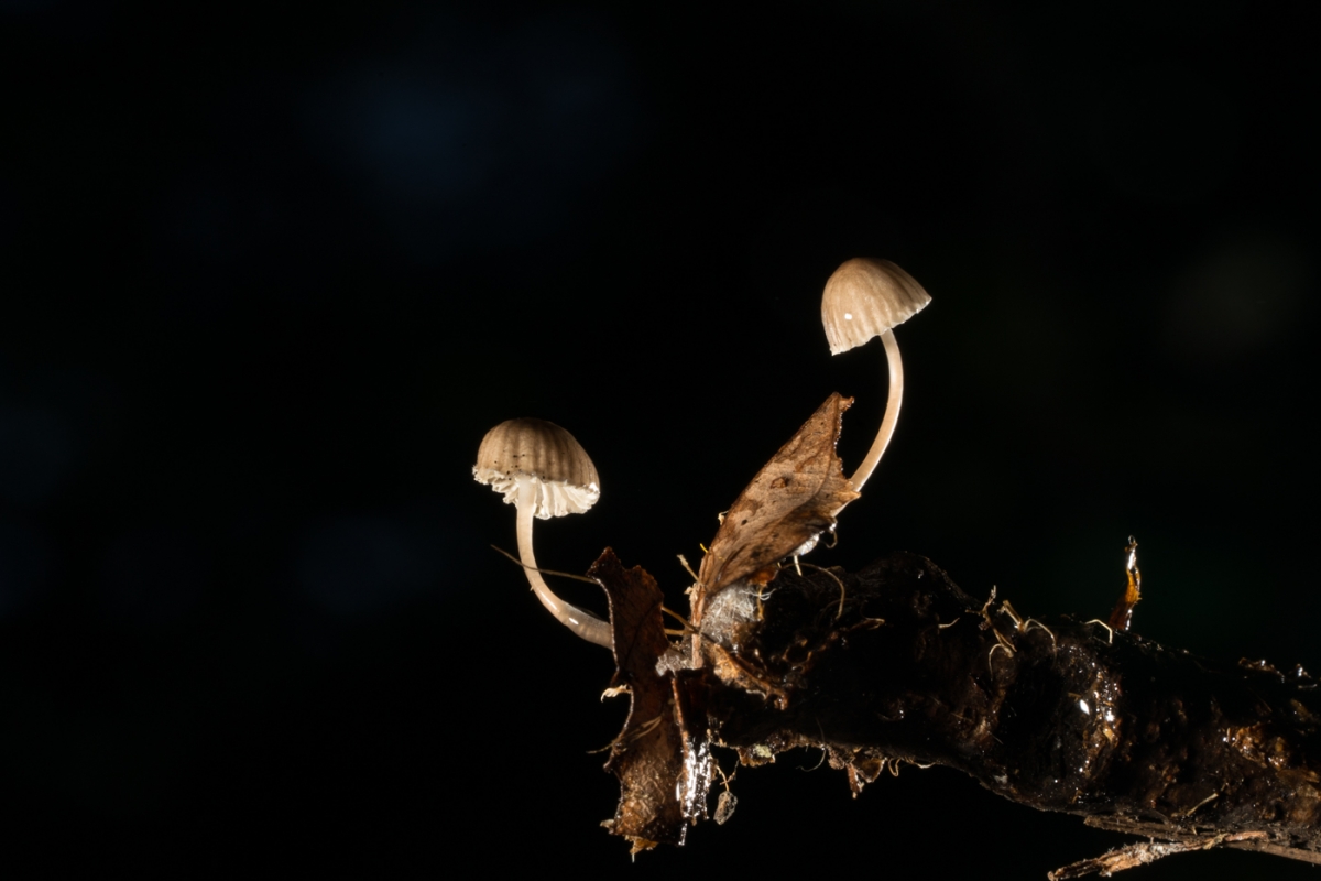 YDY08317.jpg