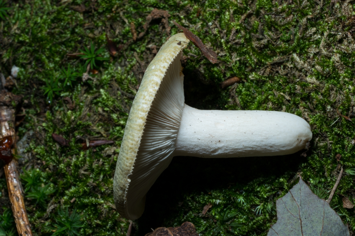 YDY04530.jpg